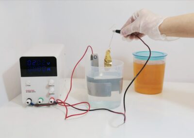 Electroplating | 1ήμερο σεμινάριο με τον Gaston Rois | 27 Νοεμβρίου 2026